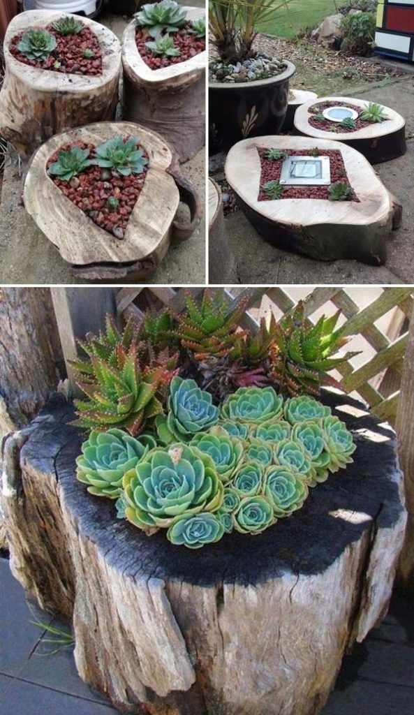 14 Lovely Succulent Gardens To Spice Up Your Outdoors - Digging In The ...