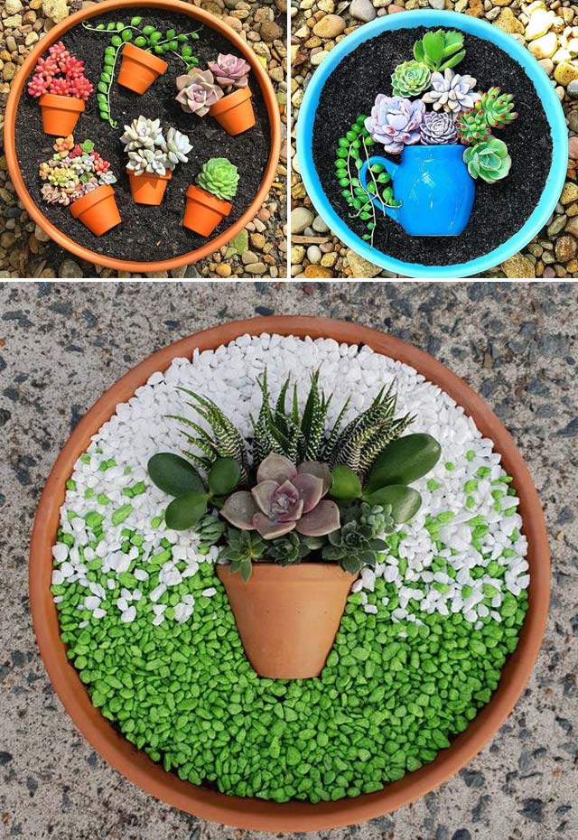 14 Lovely Succulent Gardens To Spice Up Your Outdoors - Digging In The ...