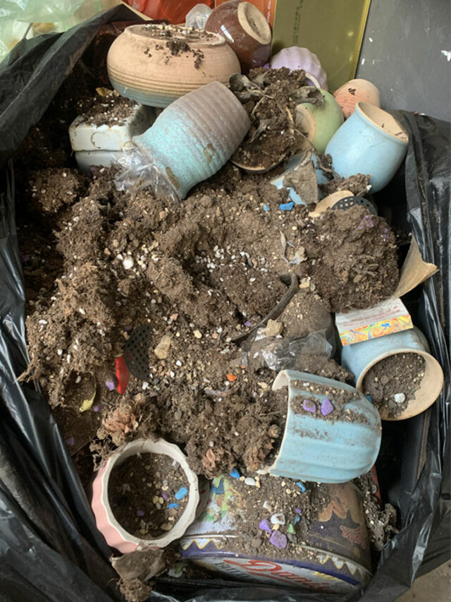 Where to Find Free Containers for Your Garden Digging In The Garden