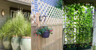 Try These 10 Ideas for Adding Privacy to Backyard Oasis