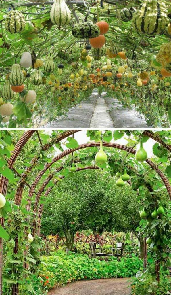 15 DIY Living Garden Structures You Will Admire Digging In The Garden