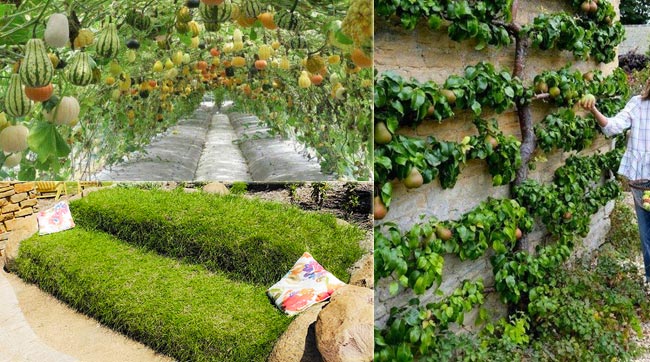 15 Diy Living Garden Structures You, How To Structure A Garden
