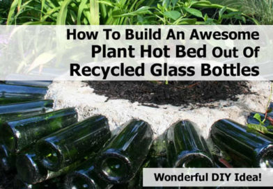 Make Hot Garden Bed With Recycled Wine Bottles