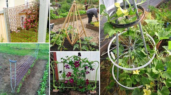 Image of Recycled materials trellis for cucumbers