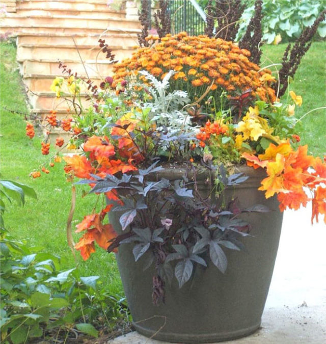 28 Coolest Ideas to Create Fall Planters Outside Front Door