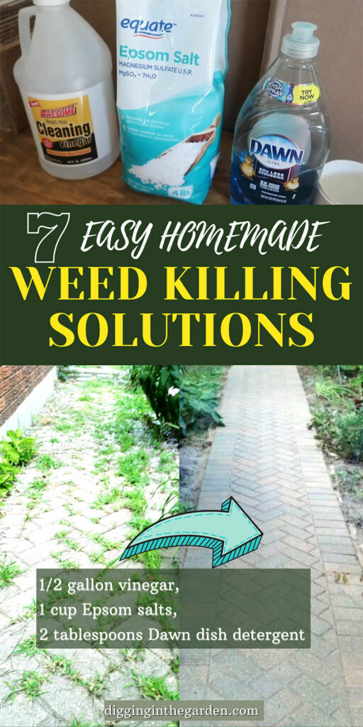 7 Easy Homemade Weed Killer Solutions