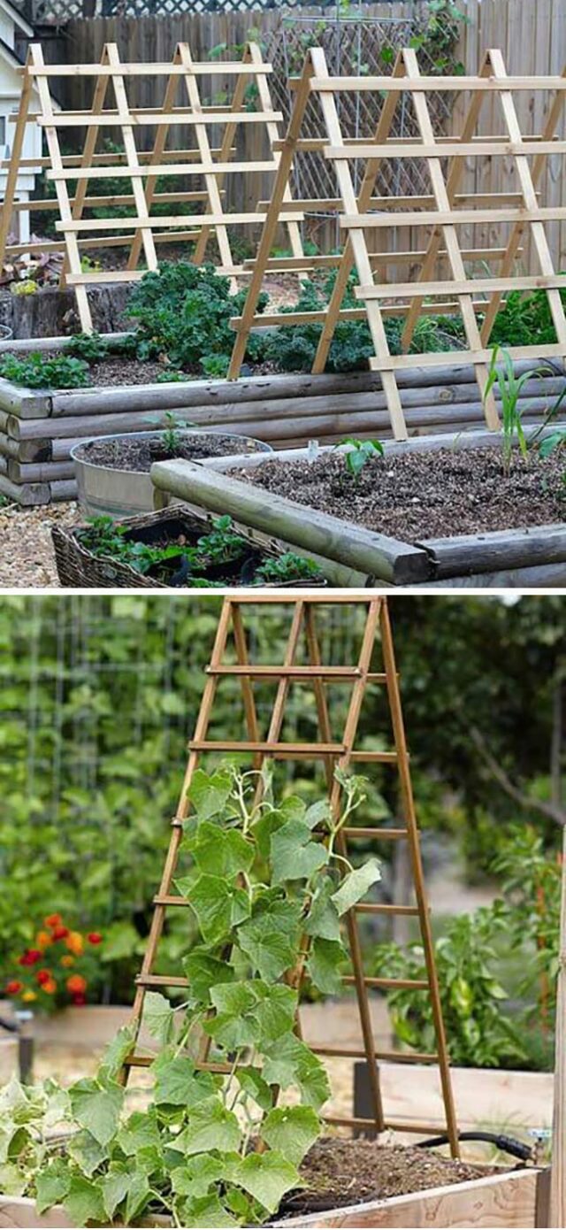 Top 28 Easy and Cheap DIY Garden Trellis Ideas