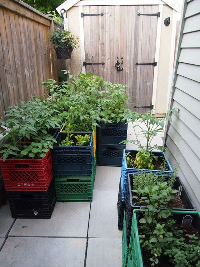 Best 20 Easy and Cool DIY Raised Garden Beds You Should Try