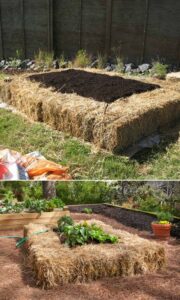 Best 20 Easy and Cool DIY Raised Garden Beds You Should Try