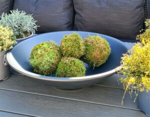 How to Make a Beautiful and Nutritious Lettuce Globe