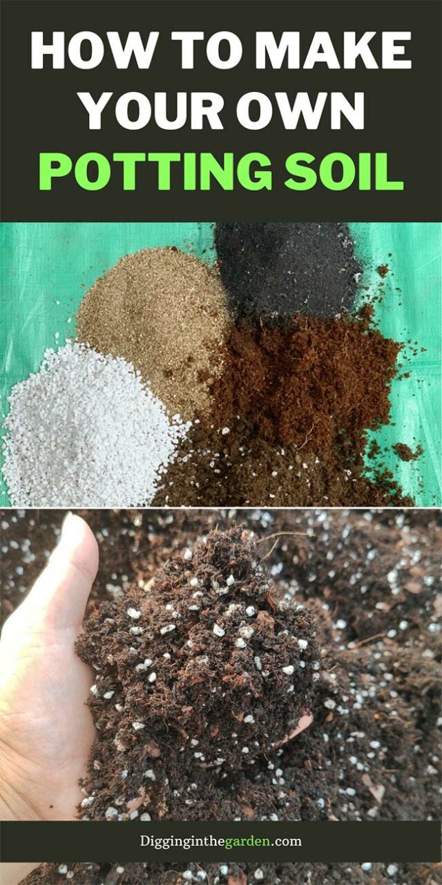 How to Make an Easy, Affordable, and All-Purpose DIY Potting Soil