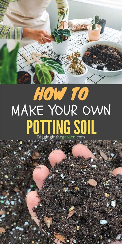 How to Make an Easy, Affordable, and All-Purpose DIY Potting Soil