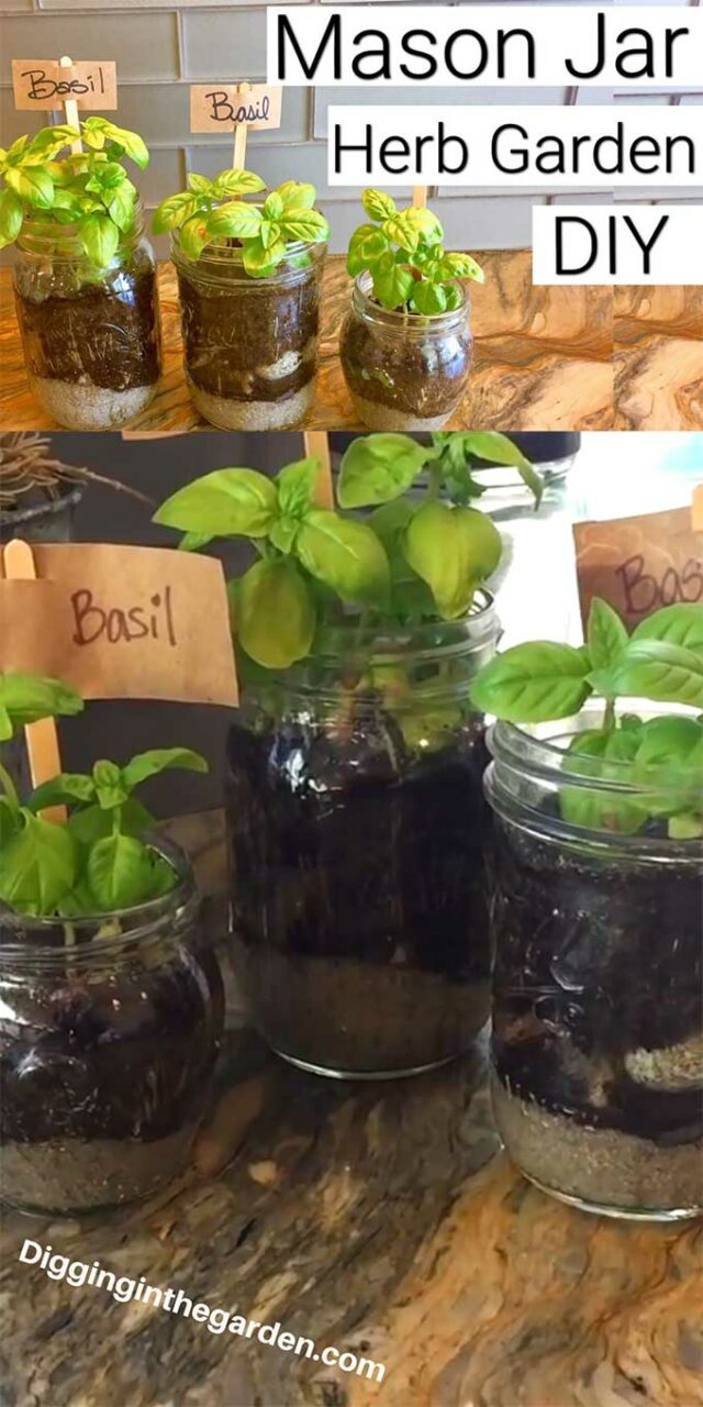 How To Grow Your Own Mason Jar Herb Garden