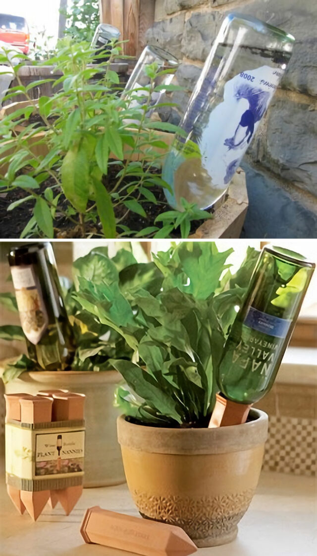 How do self watering plant containers work Idea