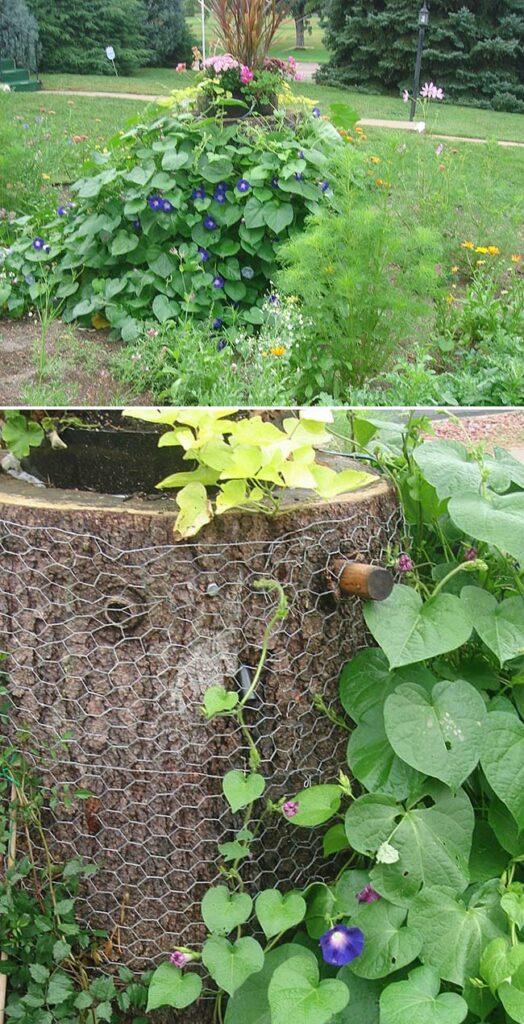 Clever Ideas of Decorating or Hiding a Tree Stump in Your yard