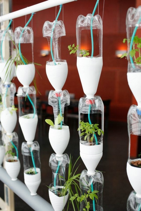 19 DIY Recycled Plastic Bottle Gardens You Would Love