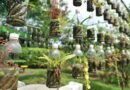19 DIY Recycled Plastic Bottle Gardens You Would Love
