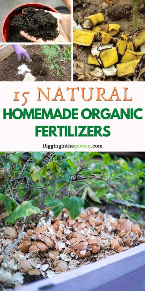 Homemade Fertilizer 15 Best Organic Recipes for All Plants