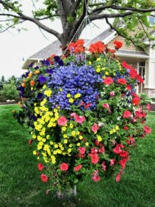 How to Fertilize Hanging Flower Baskets & Containers