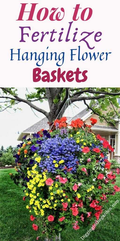 How to Fertilize Hanging Flower Baskets & Containers