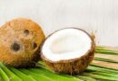 How to Plant Coconut Trees in Containers