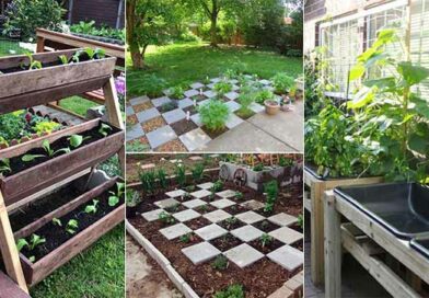 10 Brilliant Ideas To Grow a Small Vegetable Garden
