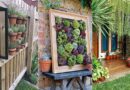 14 Best Ways To Display Plants On Your Outdoor Walls