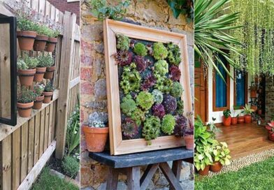 14 Best Ways To Display Plants On Your Outdoor Walls