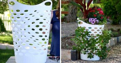 How to Turn Dollar Store Laundry Baskets Into Strawberry Planters