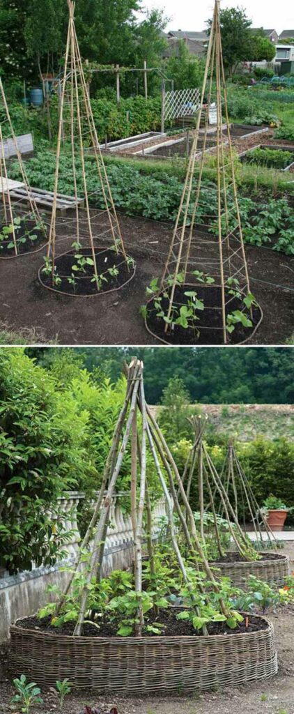 10 Brilliant Ideas To Grow a Small Vegetable Garden