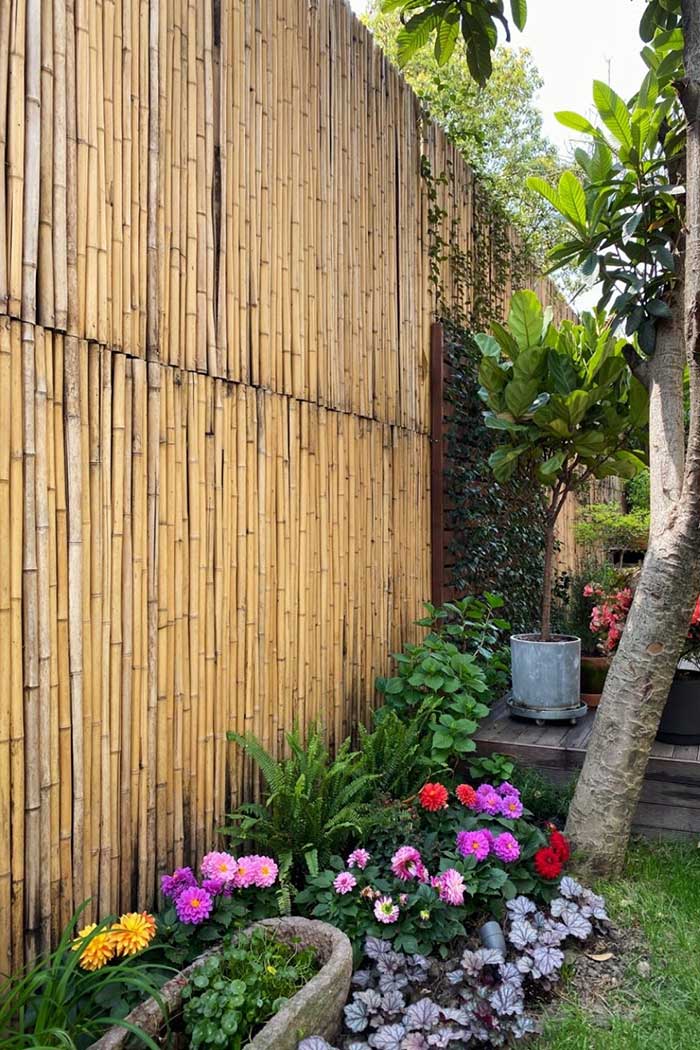 idee con canne di bambu - Ricerca Google  Bamboo garden fences, Backyard  garden design, Bamboo garden