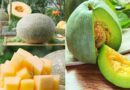 What Is The Difference Between Cantaloupe and Muskmelon
