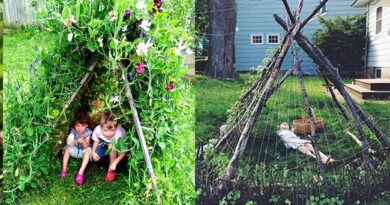 Creating a Green Secret Garden: How to Build a Natural Teepee with Climbing Plants