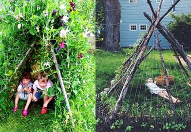 Creating a Green Secret Garden: How to Build a Natural Teepee with Climbing Plants