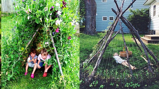 Creating a Green Secret Garden: How to Build a Natural Teepee with Climbing Plants