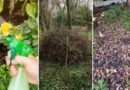 How to Clean Your Garden in Autumn Without Destroying Bug Habitats