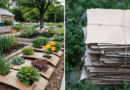 Why Gardeners Cover Raised Beds With Cardboard in Winter