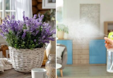 Lavender Is 20x Better Than Air Fresheners (Here’s the Real Reason) Lavender Is 20x Better Than Air Fresheners (Here’s the Real Reason)