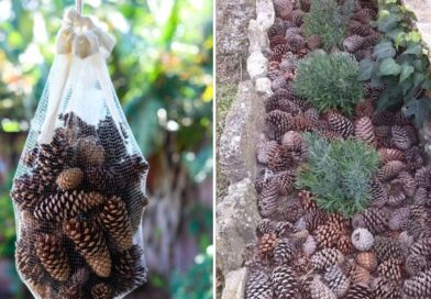 Why Gardeners Hang Pinecones in Mesh Bags (It’s Not Decoration) Why Gardeners Hang Pinecones in Mesh Bags (It’s Not Decoration)