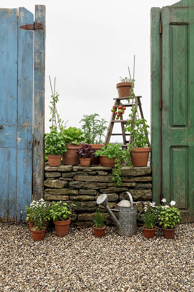 Vintage Door Frame for a Secret Corner Garden