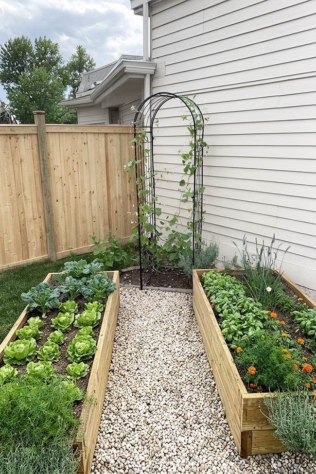 Arched Pathway through the Corner Garden