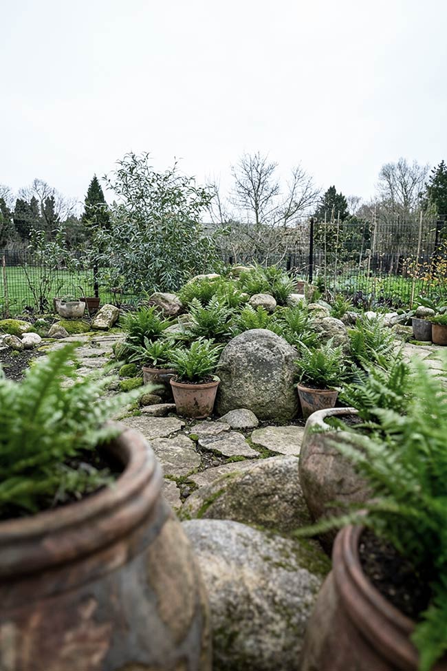 Fern-Filled Crevices in a Natural Rock Garden Mound