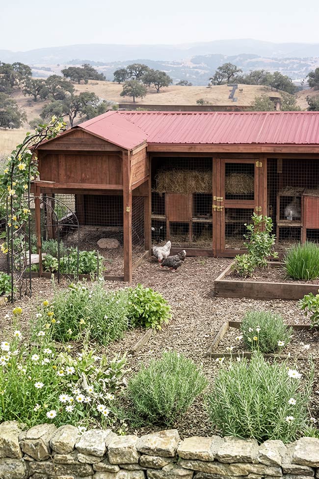 Red Roof Charm in a Hillside Chicken Coop Garden