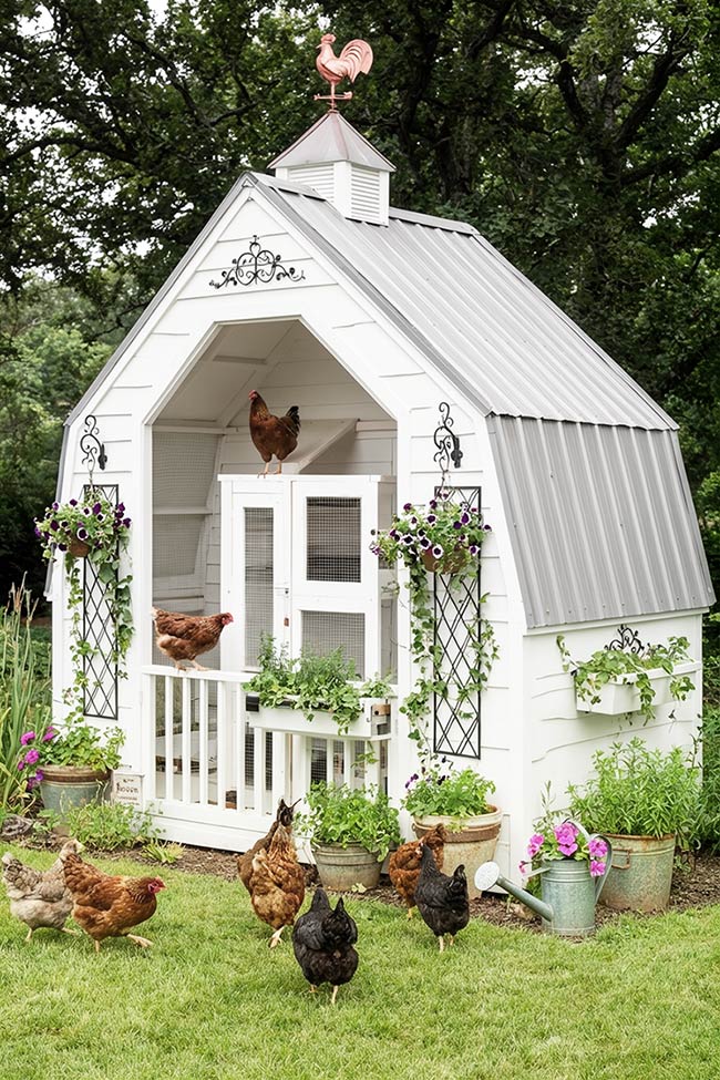 White Barn Style for a Classic Chicken Coop Retreat