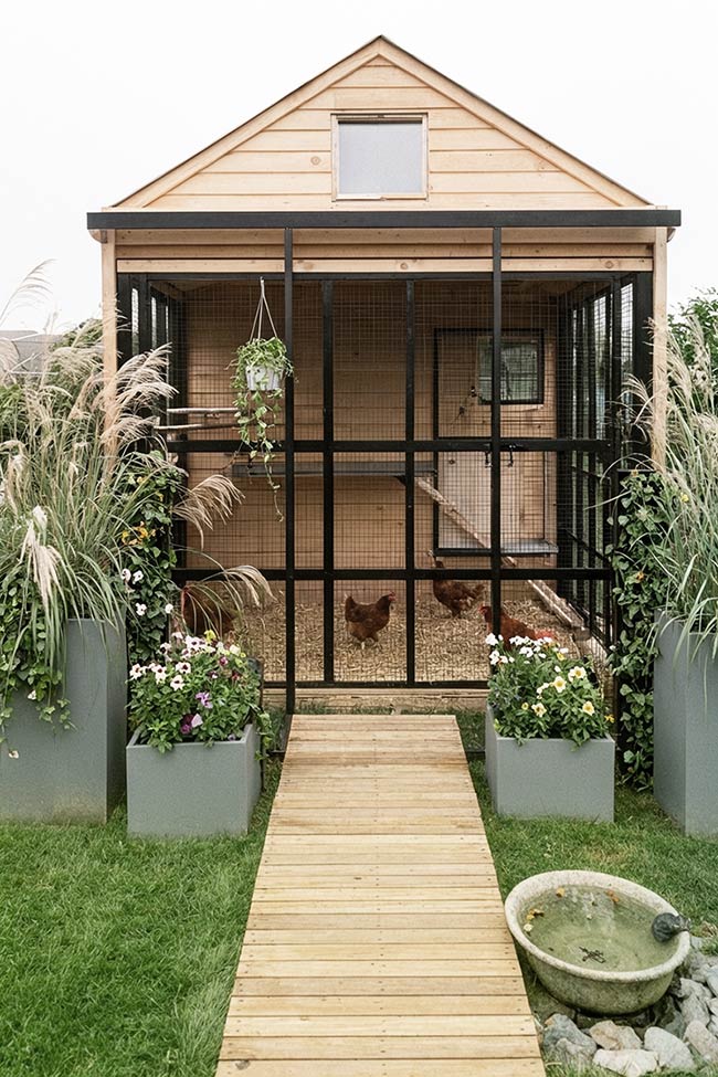 Minimalist Wood and Wire Chicken Coop Walkway