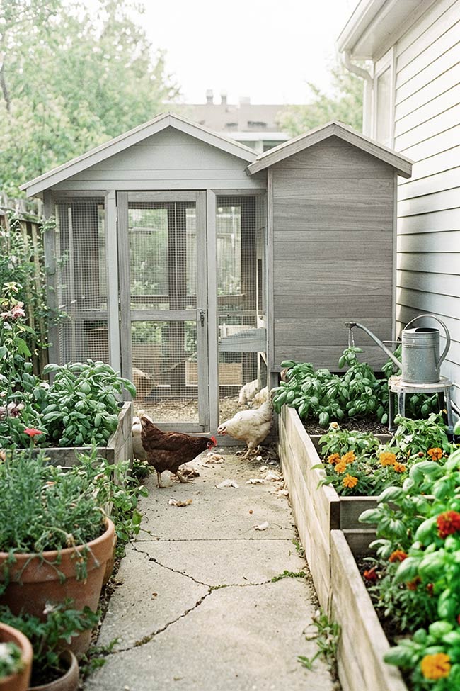 Backyard Bliss with a Siding-Matched Chicken Coop