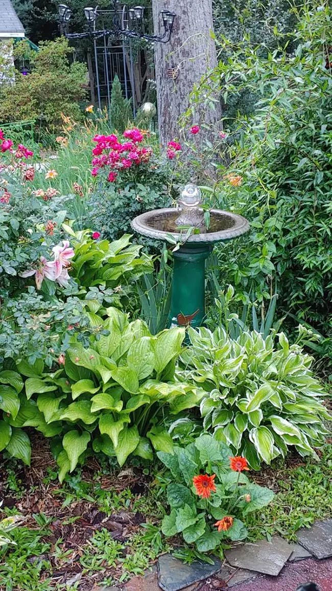 A Classic Birdbath Focal Point for Your Shade Garden
