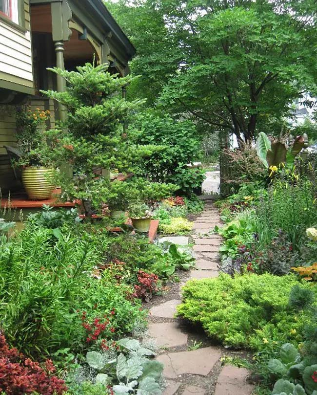 Cottage Charm Along a Sunny-to-Shade Garden Flagstone Path