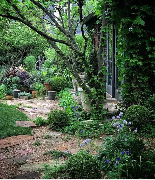Ivy-Draped Serenity: A Hidden Path in the Shade Garden