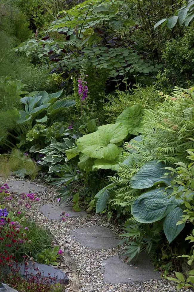 Textures of Nature: Foxgloves and Ferns for a Shade Garden